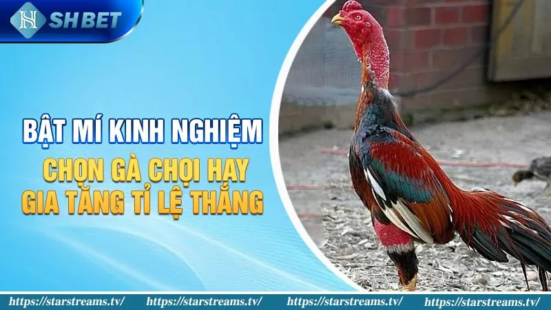 Nạp tiền vào tài khoản Bj88 của bạn bằng hệ thống ngân hàng điện tử - Bj88