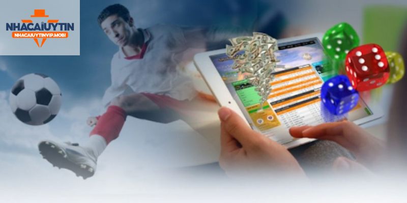 Hướng dẫn cách tải ứng dụng C54 hiệu quả trên điện thoại Android/iOS - C54