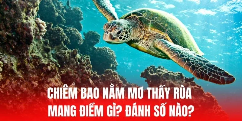 Tận hưởng những ưu đãi tuyệt vời tại Onbet88! - Onbet88