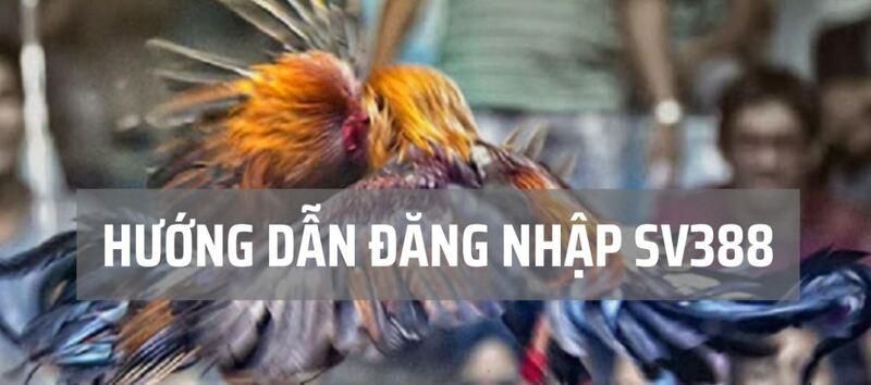 Các chính sách và ưu đãi từ Gobet - Gobet