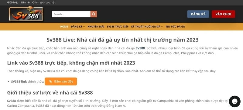 P3bet VIP 2026 – 5 cấp độ độc quyền, nhận hoàn tiền lên đến 15% - P3bet