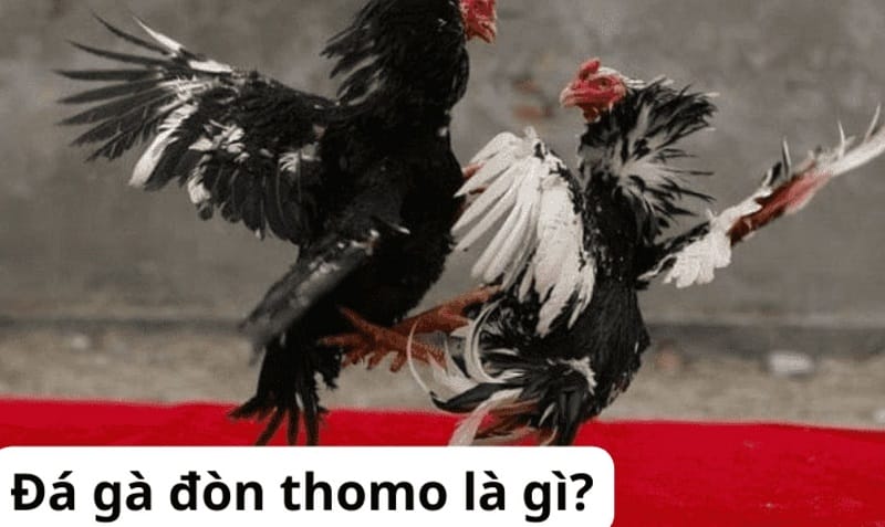 Hướng dẫn đăng ký tài khoản cá cược của Công ty cá cược Ee8801 - Ee8801