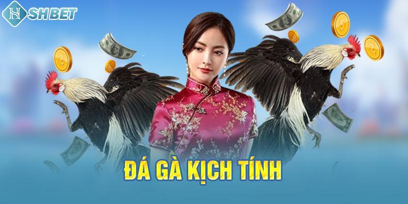 Mocbai - Một cổng game quốc tế đáng tin cậy - Mocbai