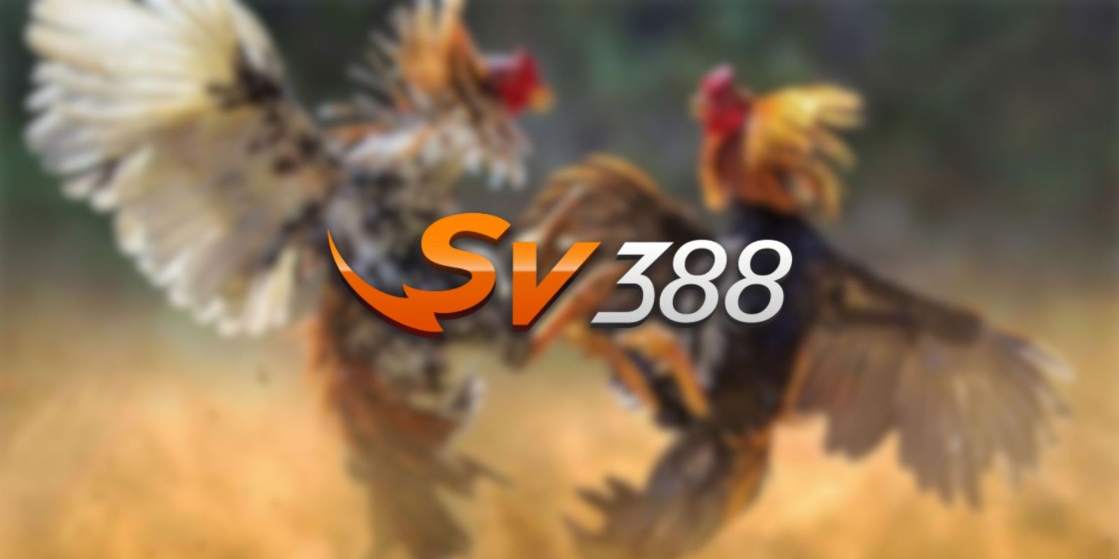 Trò chơi này được xếp hạng chất lượng 32Win - 32Win