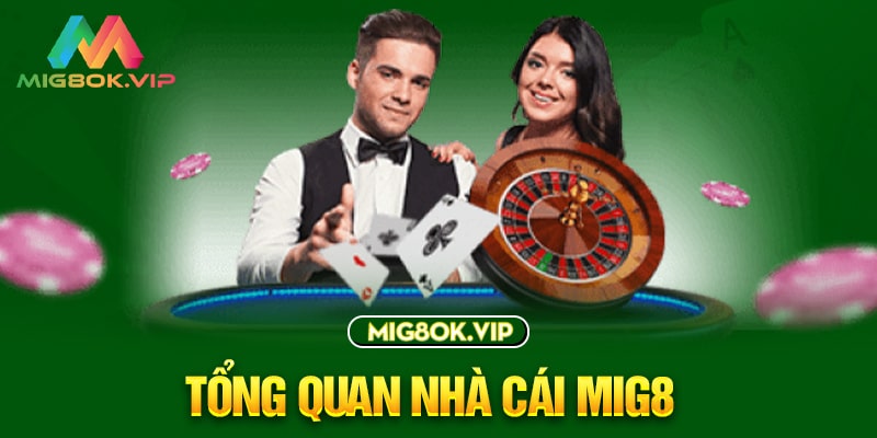 Tổng quan ngắn gọn về Vwin88 - Vwin88