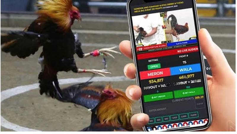 Link tải game cấp độ M8win - M8win