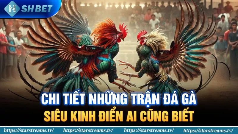 Các chuyên gia có kinh nghiệm gì trong các trận đấu bóng đá cấp độ Vesovn? - Vesovn